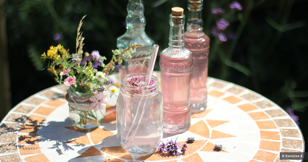 Lavendel-Sirup: Selbst gemacht | Waschbär-Magazin