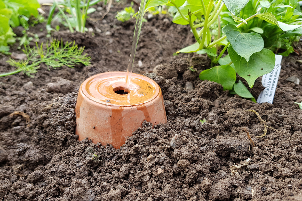 Die Olla wird mit Wasser befüllt.