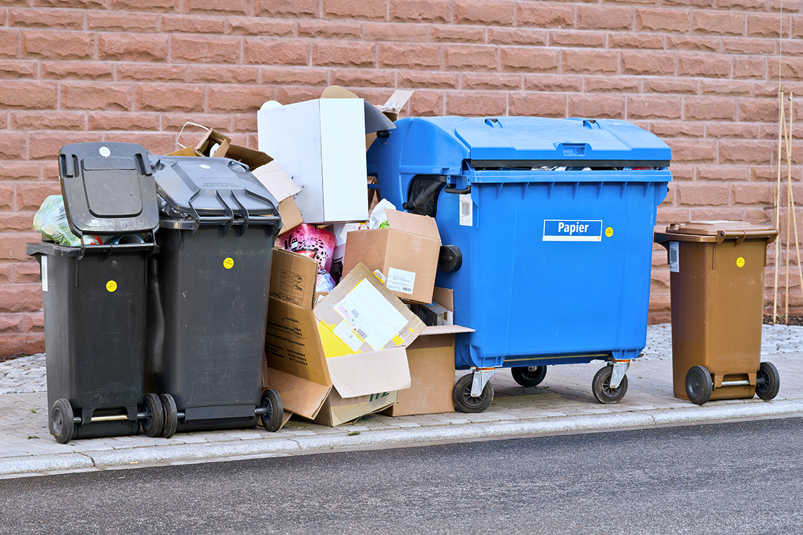 Zwei Restmülltonnen, Pappe, eine blaue Papiertonne und eine braune Biotonne sind am Straßenrand aufgestellt.