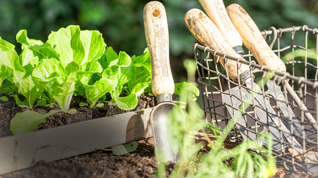 Nachhaltige Gartengeräte für Ihren Bio-Garten
