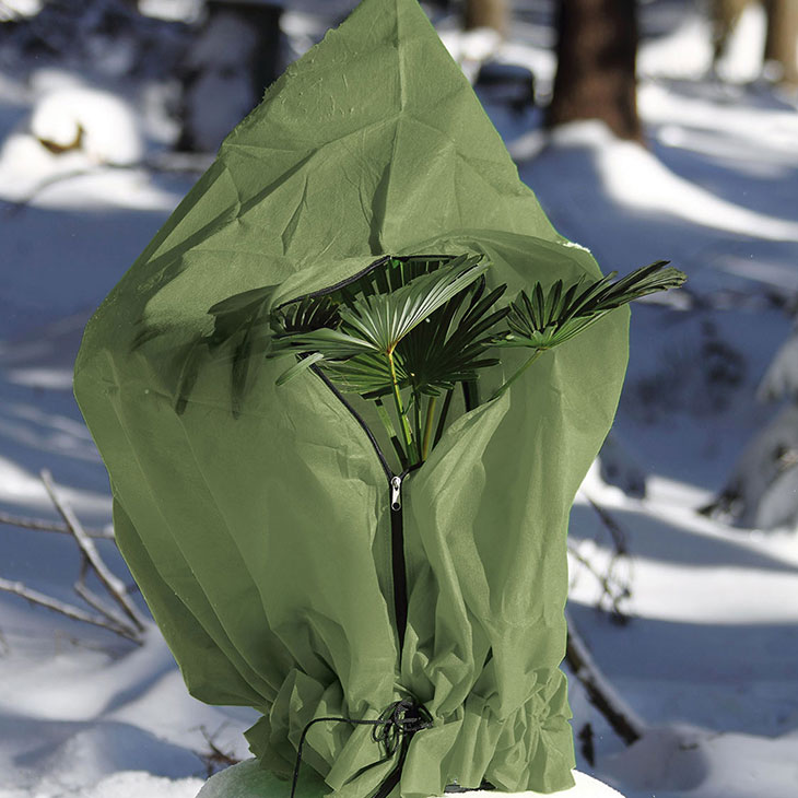 Winterschutz für Ihre Pflanzen