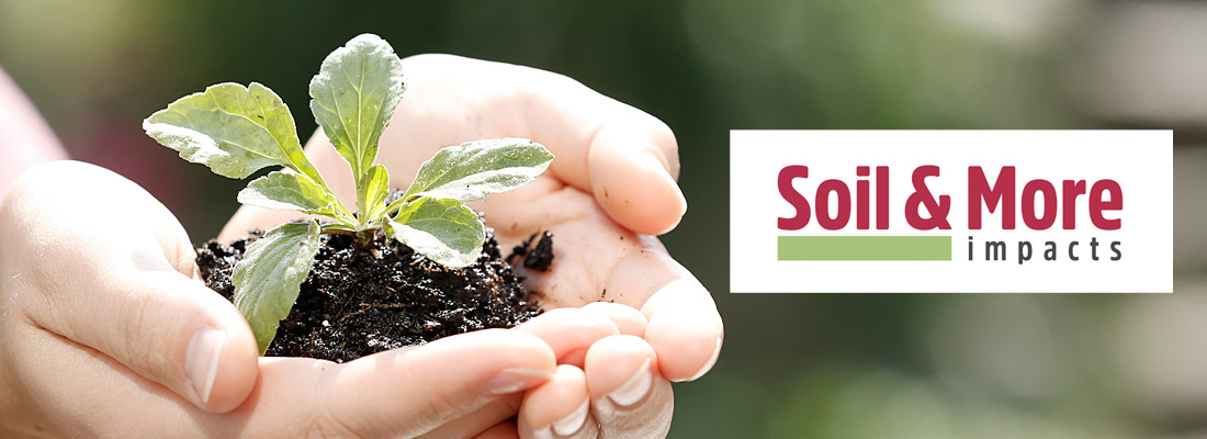 Soil & More