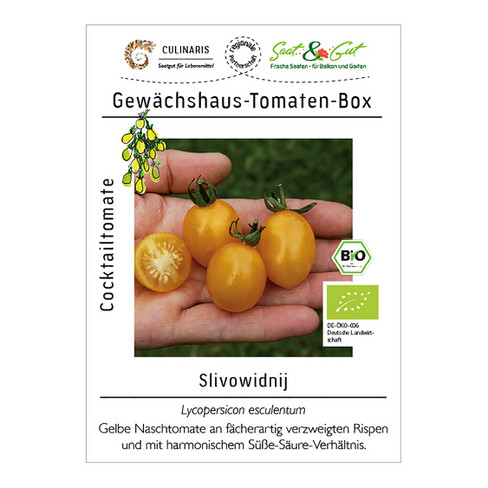 Bio-Saatgut Gewächshaus-Tomaten, 8er-Set