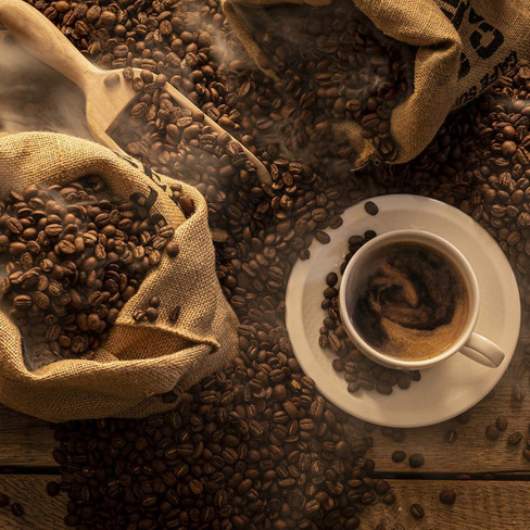 Bio-Kaffee Brasil Camocim